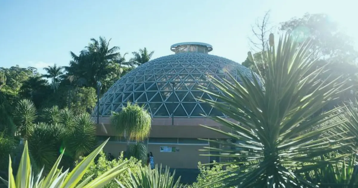 Scenic views from Mount Coot-tha Lookout with NDIS support by Yirra Care